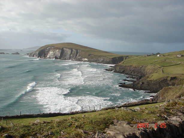Dingle